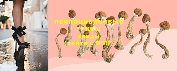 марки lsd Аркадак