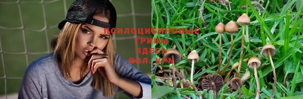 шишки Баксан