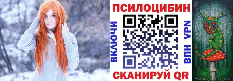 blacksprut ONION  хочу наркоту  Сенгилей  Галлюциногенные грибы прущие грибы 